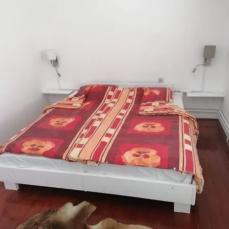 Lejlighed Vacation Studenski / Kuca Za Odmor Studenski Pale