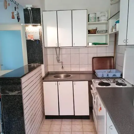 Vacation Studenski / Kuca Za Odmor Studenski Lejlighed *